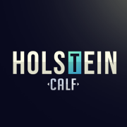 Holstein_Calf